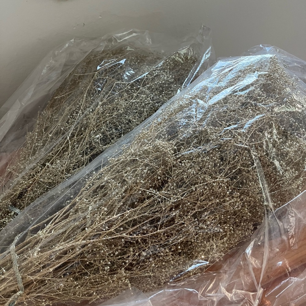 Dried Baby’s Breath (Champagne)
